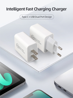 2in1 PD Wall Charger 300x403